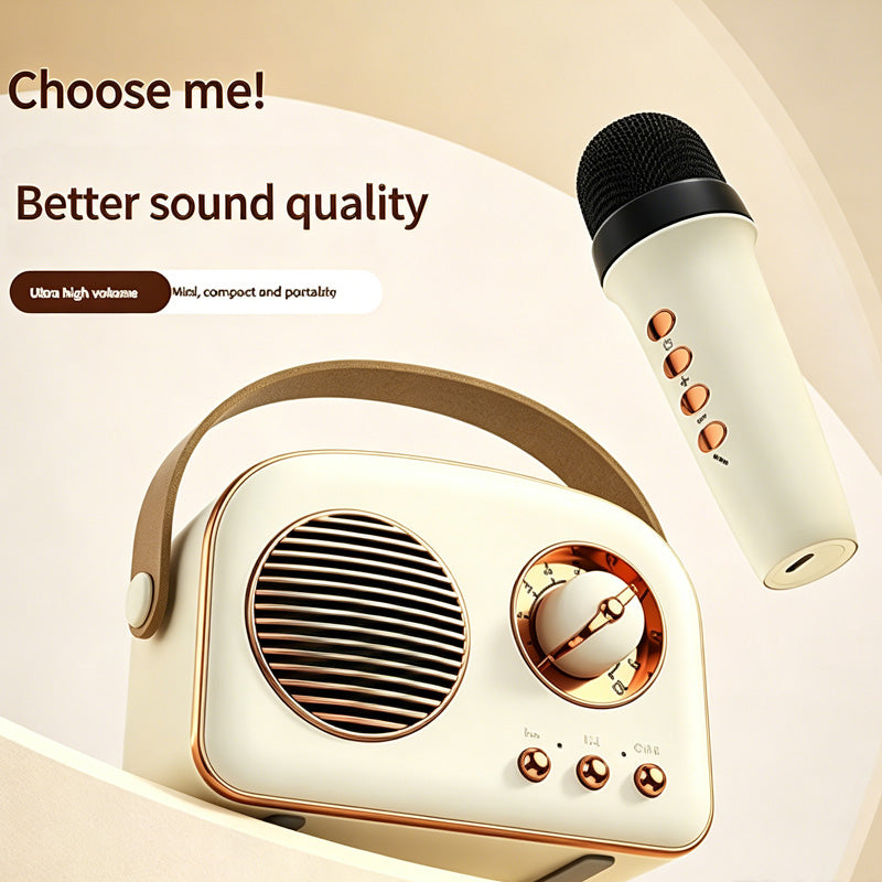 Mini Karaoke Machine with Wireless Mics - gift idea (3)