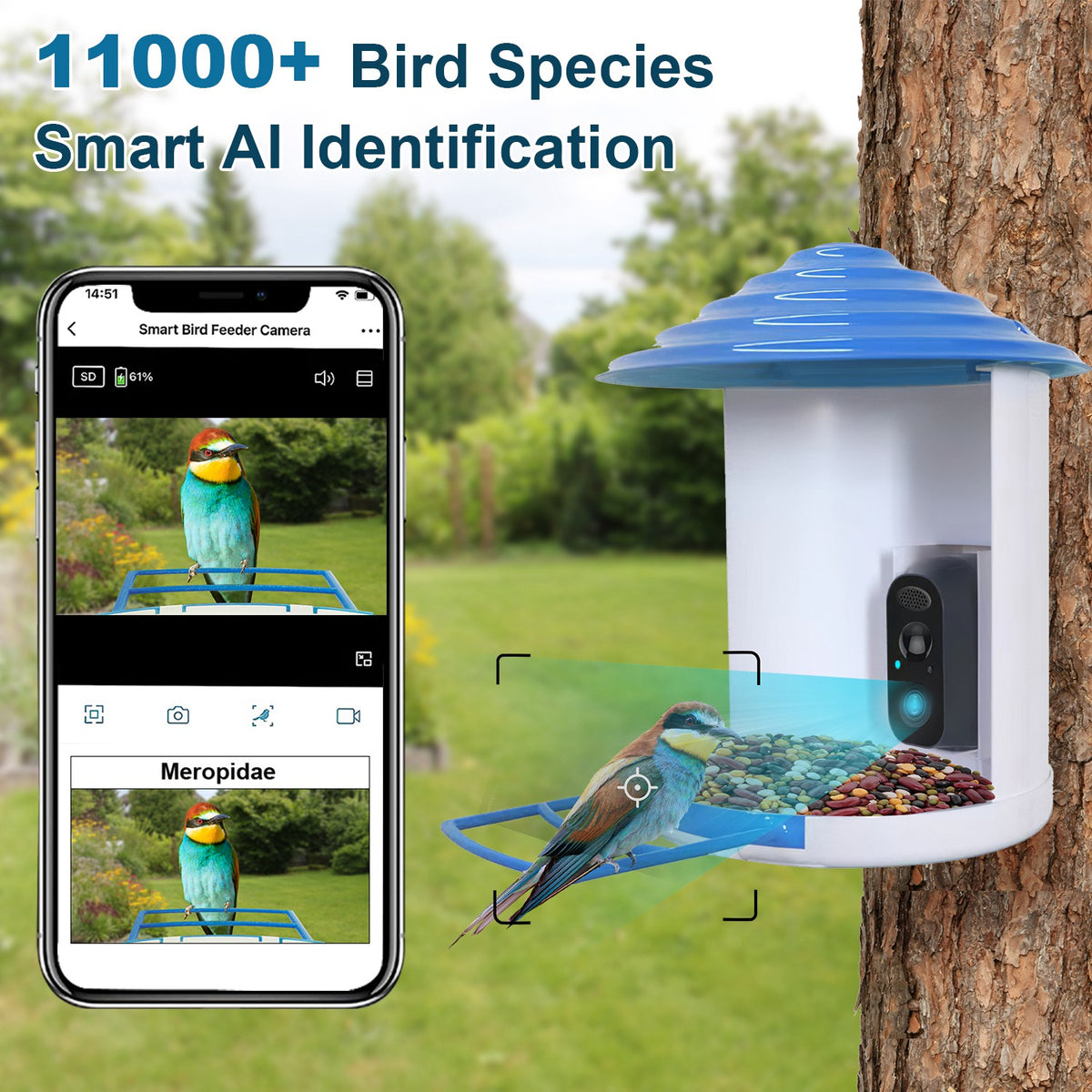 Smart Bird Feeder with Solar HD Camera - gift idea (5)
