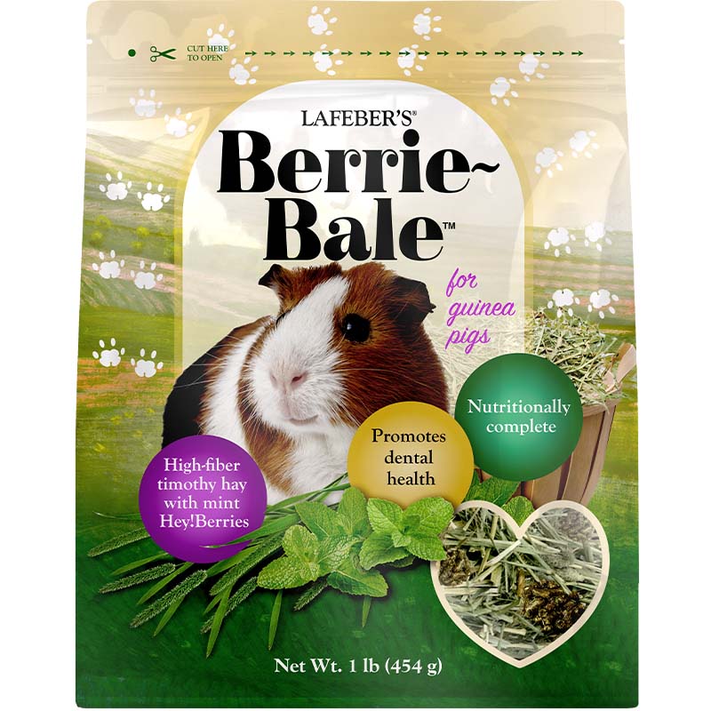Lafeber Berrie-Bale mint timothy hay bale for guinea pigs, 1 lb