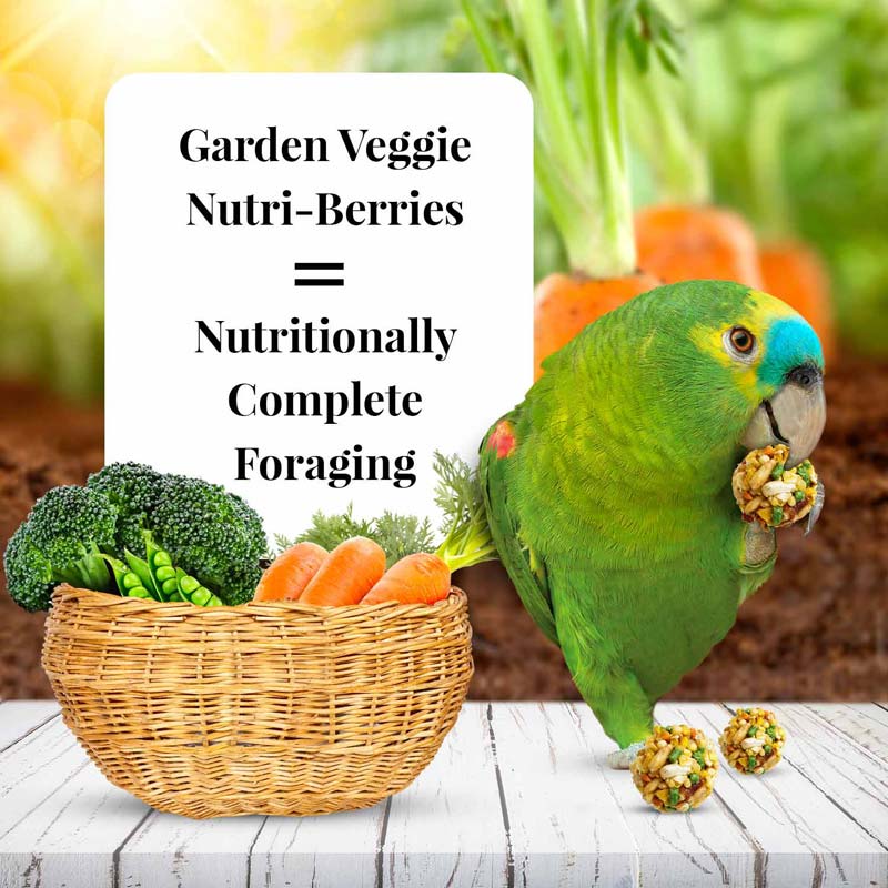 Carrot, pea, broccoli and corn in Lafeber Garden Veggie Nutri-Berries