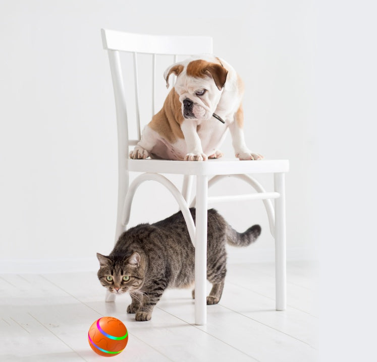 Self-Rolling Smart Cat Ball - gift idea (3)