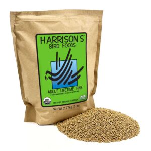 Adult Lifetime Fine Bird Food