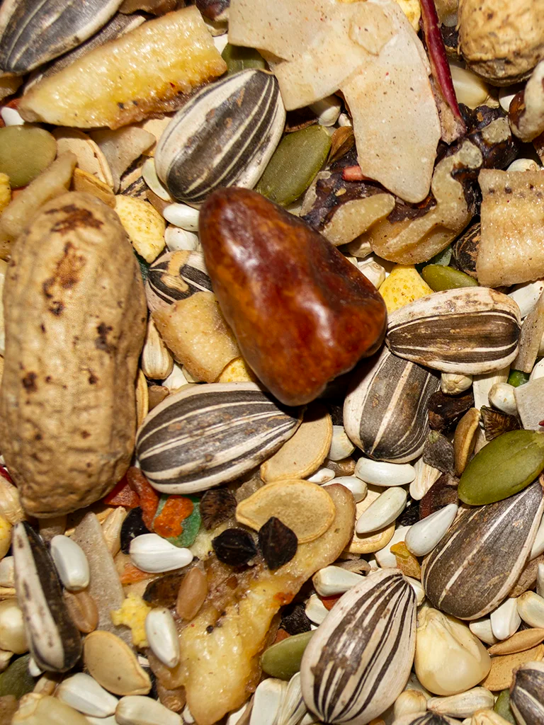 Close-up of Volkman Avian Science Super Parrot seed blend