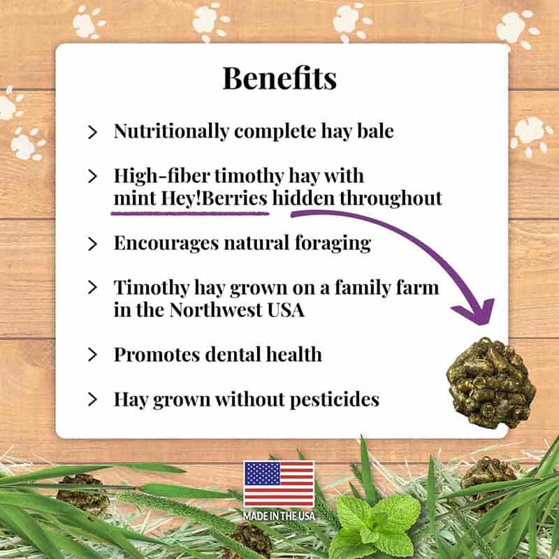 Lafeber Berrie-Bale benefits for guinea pig dental and digestive health