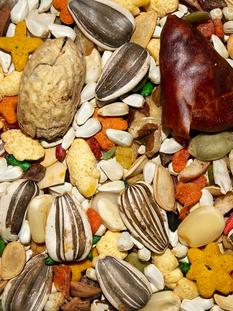Close-up of Volkman Featherglow Large Parrot seed and pellet blend