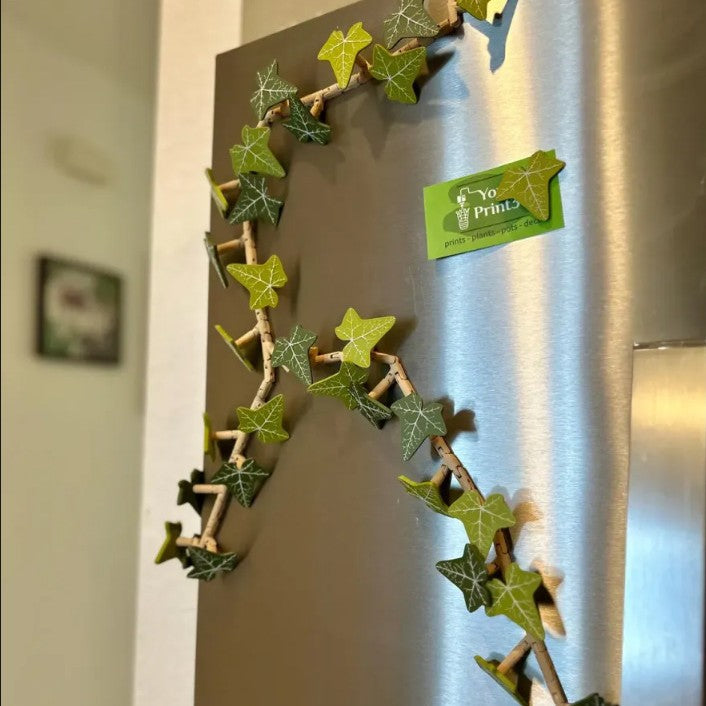 3D Ivy Fridge Magnet With Vine