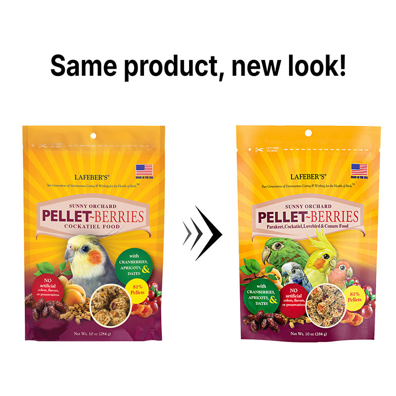 Using Lafeber Pellet-Berries to move a bird from seed onto pellets