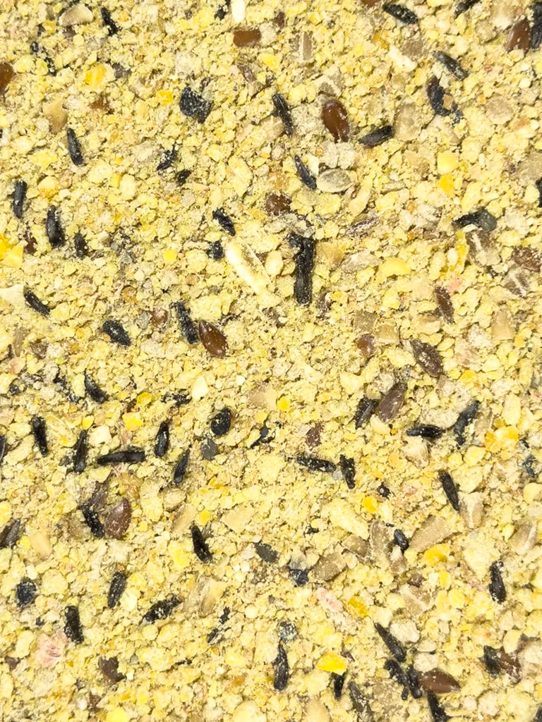 Close-up of Volkman Petamine Nestling soft food texture