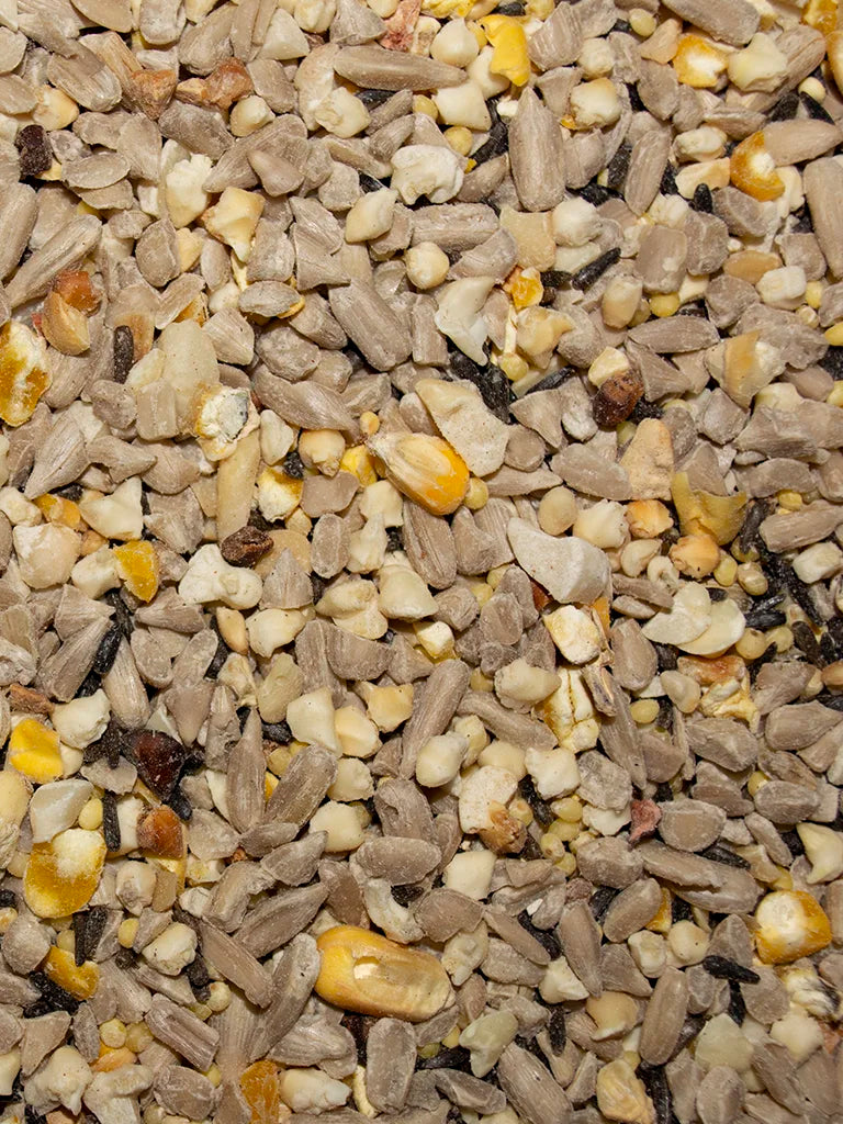 Close-up of Volkman No-Waste hull-free wild bird seed