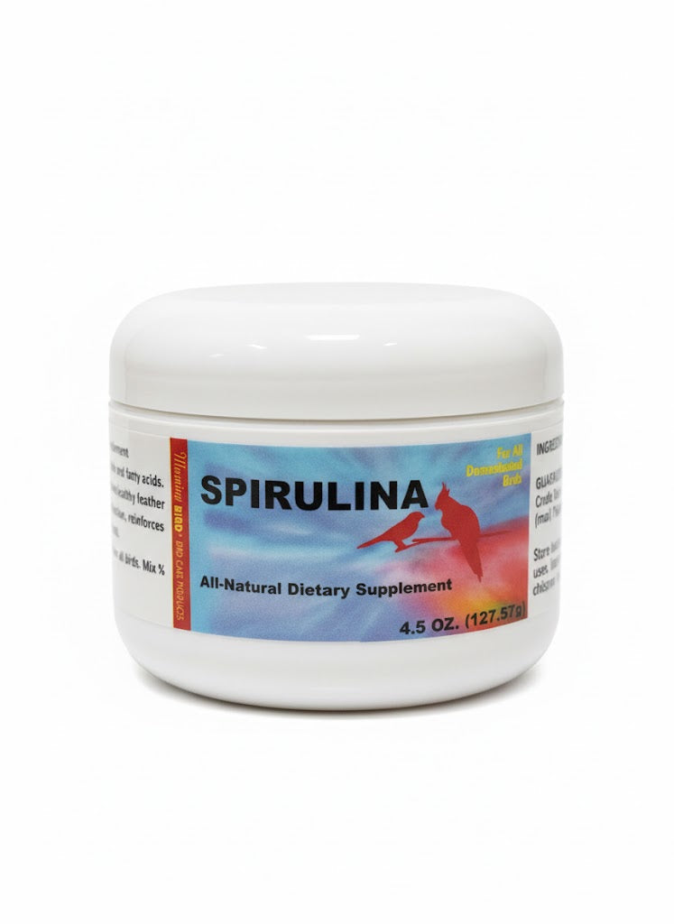 Morning Bird Spirulina powder for birds