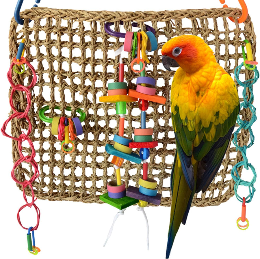 Super Bird Creations Activity Wall seagrass cage-mount bird toy