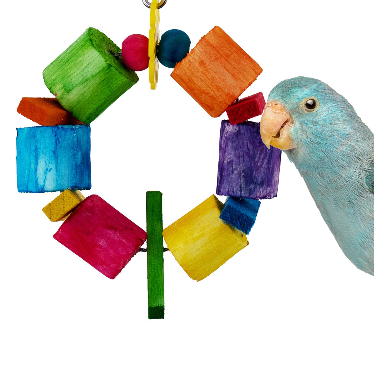 Super Bird Creations Sola Balsa Ring bird toy on stainless steel ring