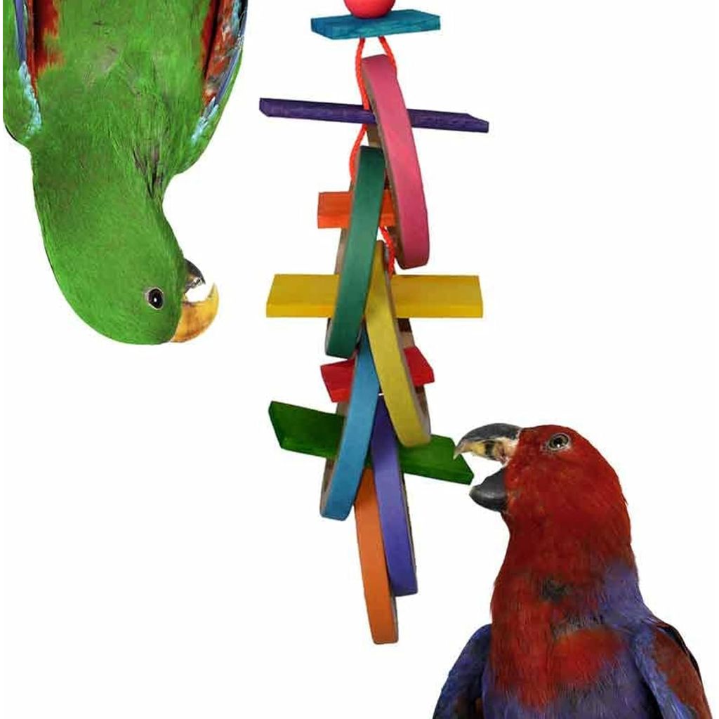Super Bird Creations Olympic Rings cardboard parrot toy