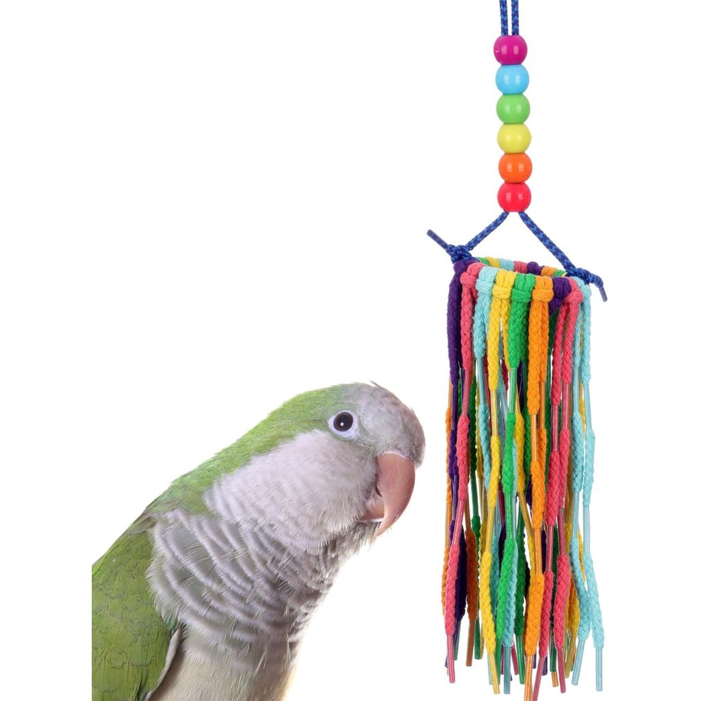 Super Bird Creations Rainbow Aglets cotton shoelace preening toy