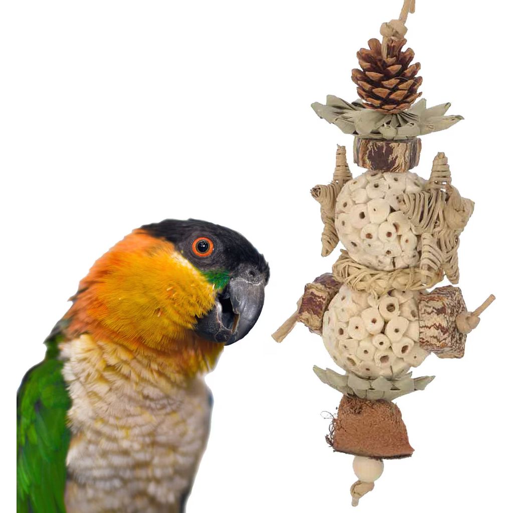 Super Bird Creations Sola Star Tree bird toy
