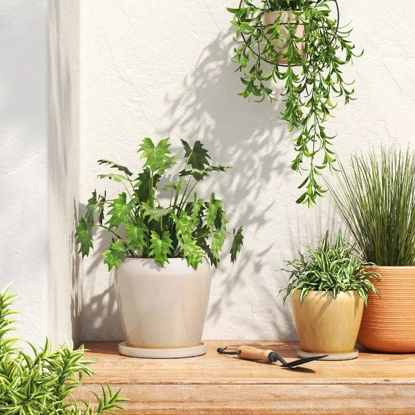 Reactive Glaze Ceramic Planter - gift idea (2)