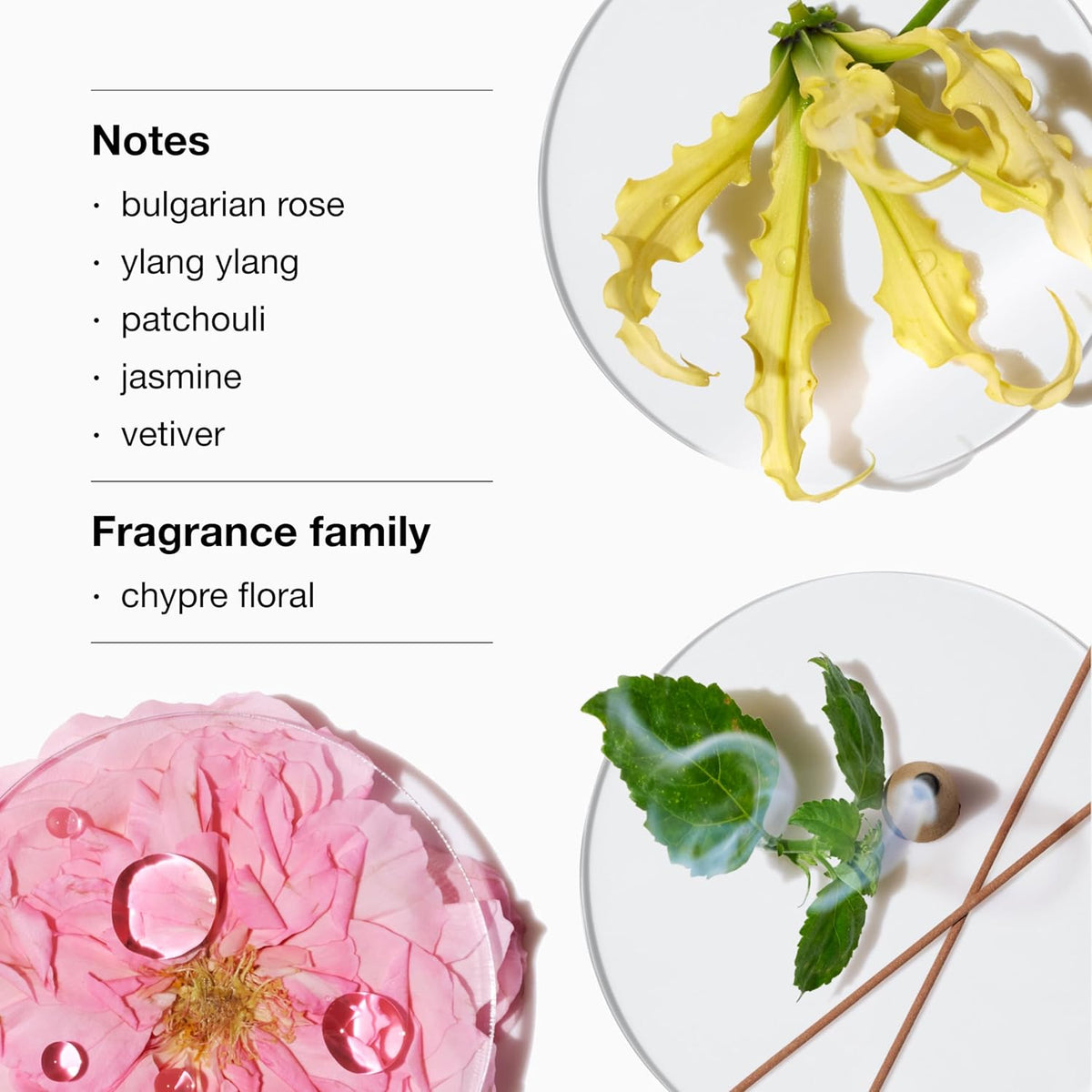 Clinique Aromatics Elixir Eau de Parfum