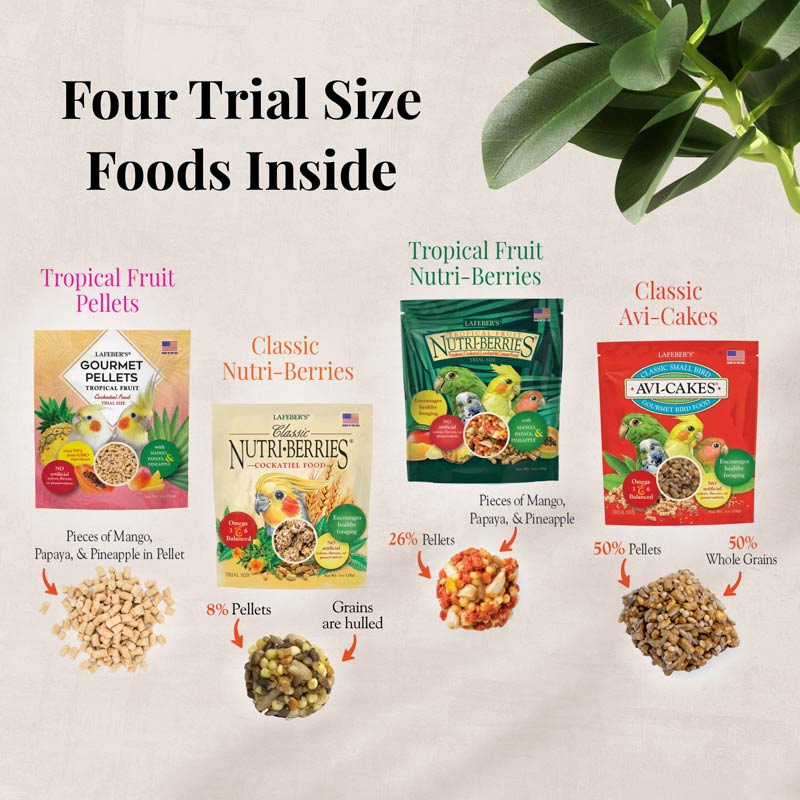 Inside the Lafeber Foraging Fun Pack — four compartments of bird food