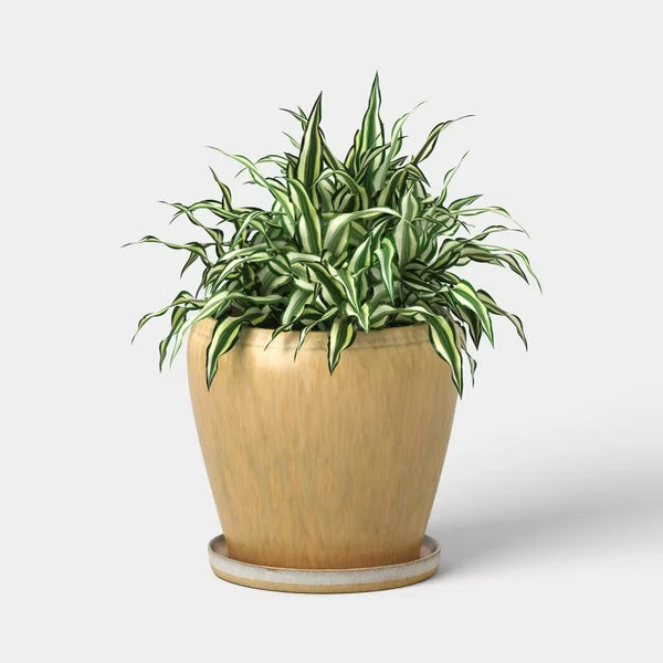 Reactive Glaze Ceramic Planter - gift idea (3)