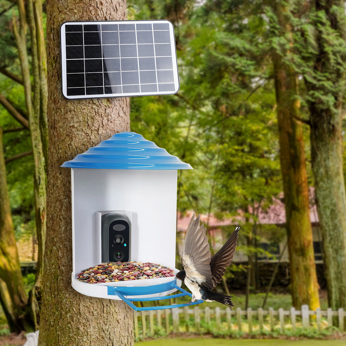 Smart Bird Feeder with Solar HD Camera - gift idea (8)