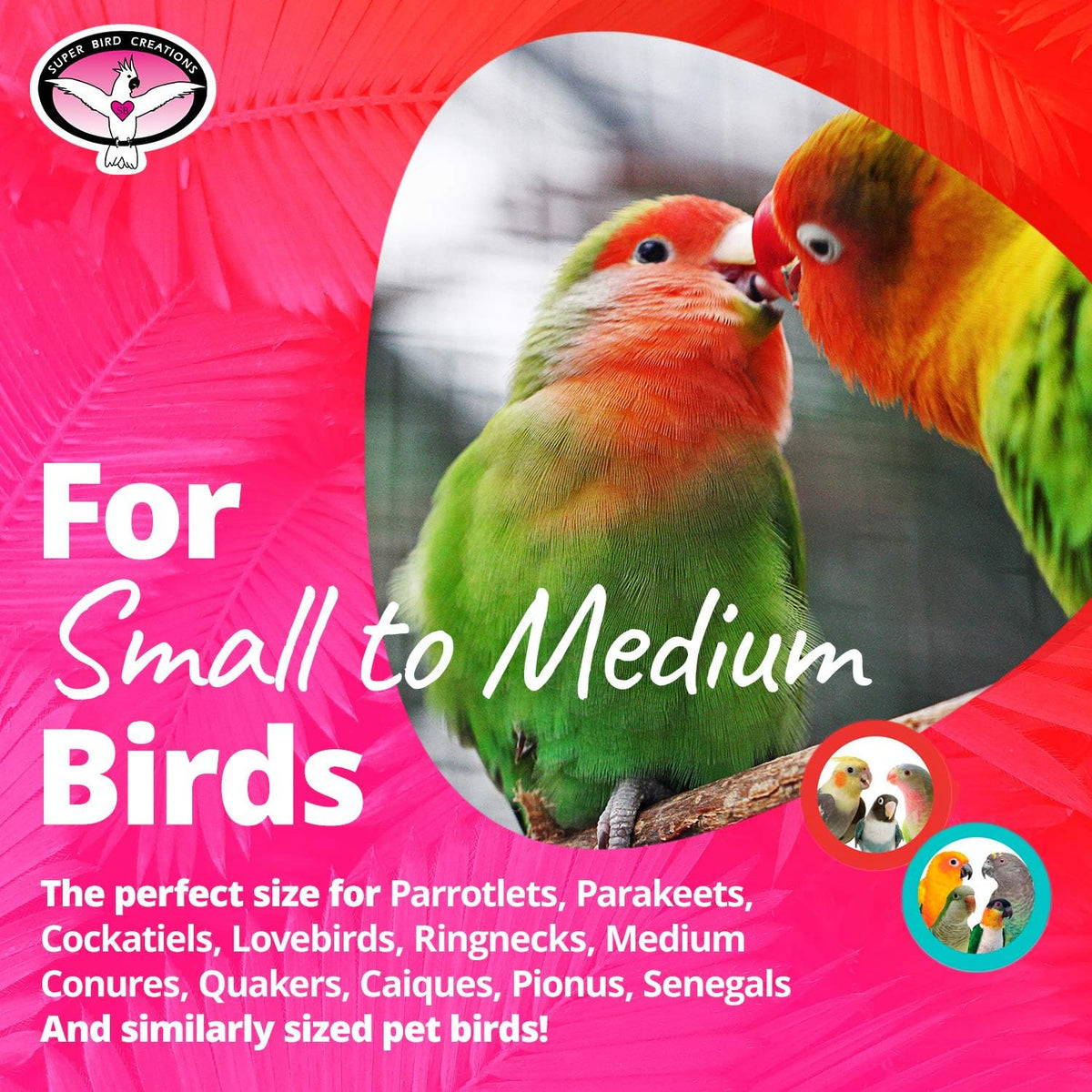 Birdie Bouquet Foraging Toy, Small/Medium