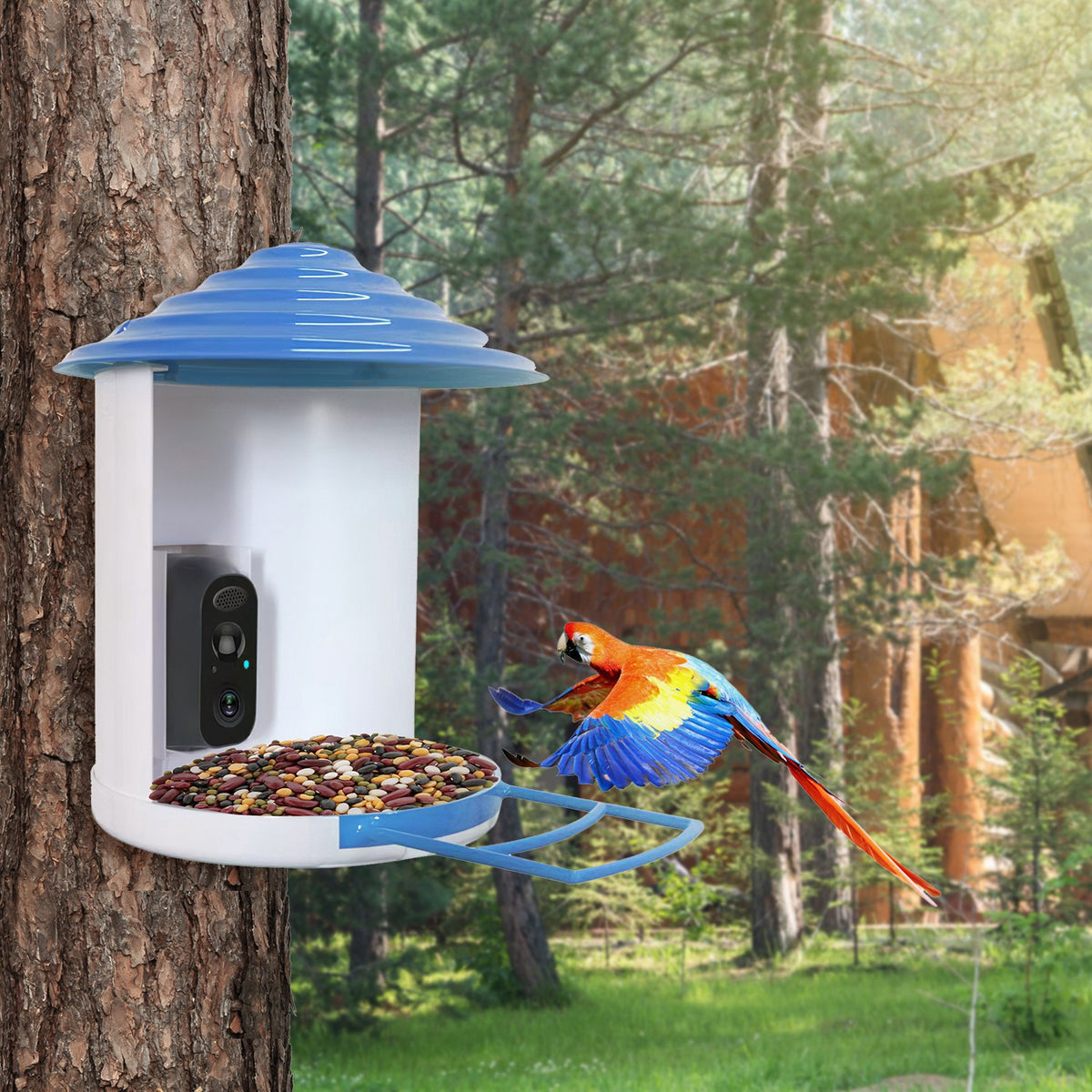 Smart Bird Feeder with Solar HD Camera - gift idea (9)