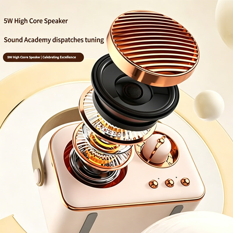 Mini Karaoke Machine with Wireless Mics - gift idea (4)
