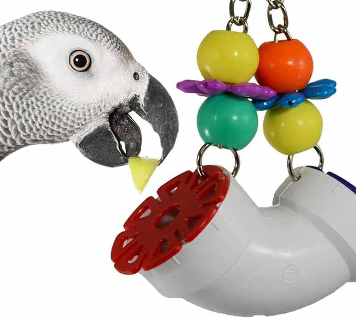 Bird Toys & Foraging