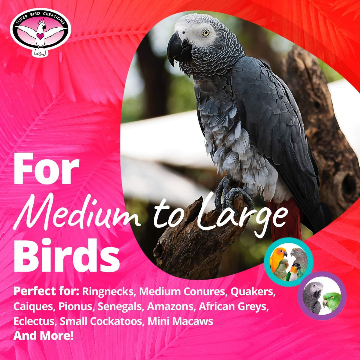 PVC Forager Bird Toy, Medium/Large