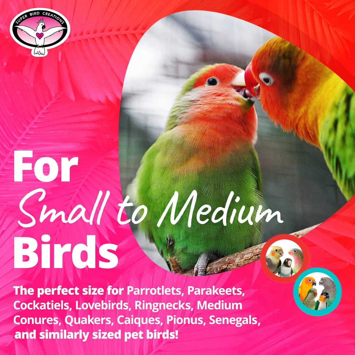 Hula Skirt Bird Toy, Small/Medium