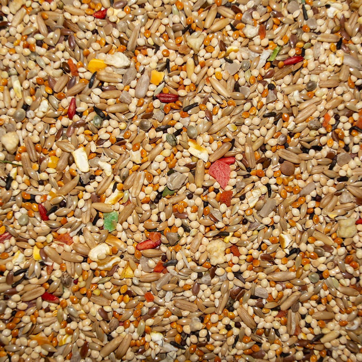Volkman Super Parakeet Bird Food 4lb