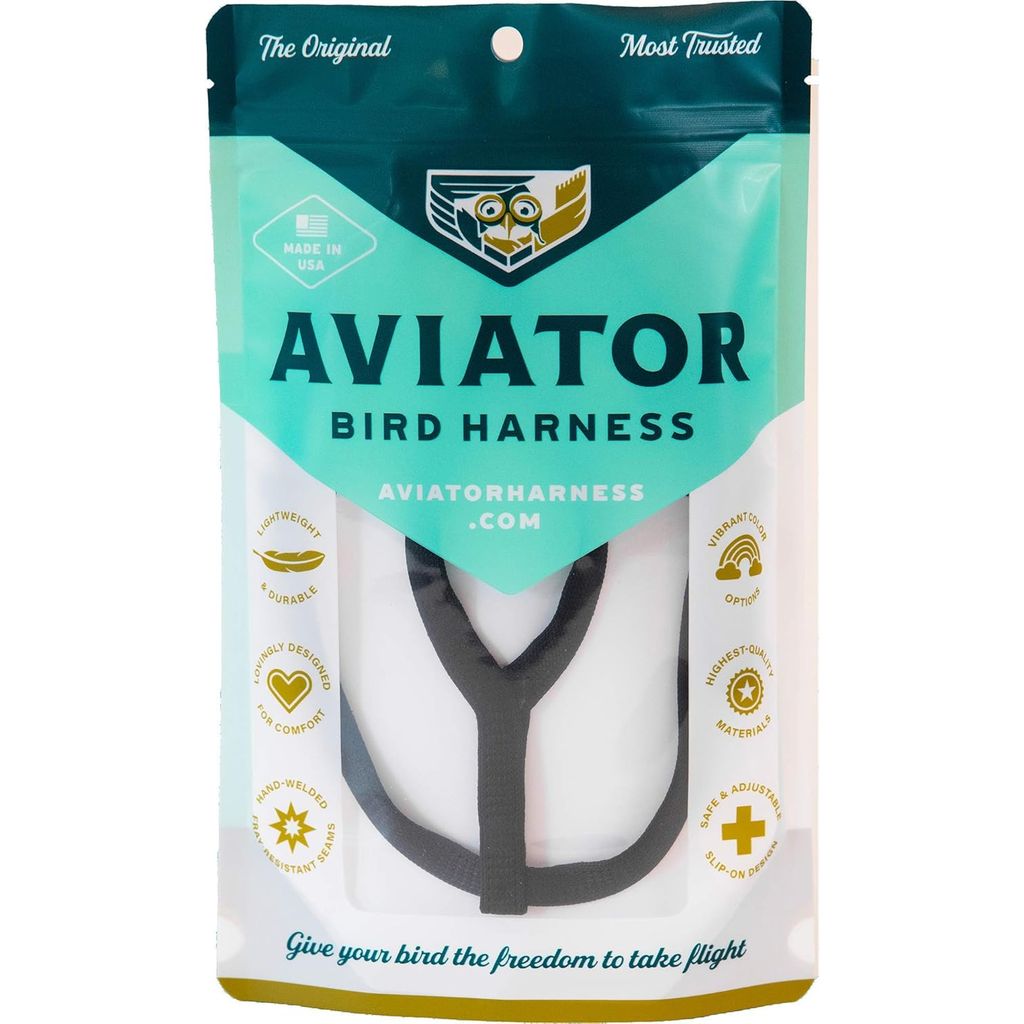 The Aviator bird harness and leash in black, shown fitted to a parrot