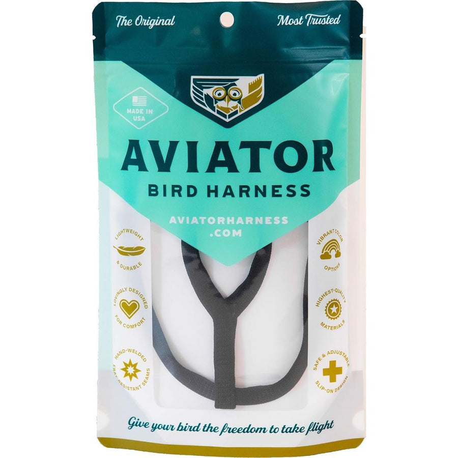 The Aviator bird harness and leash in black, shown fitted to a parrot