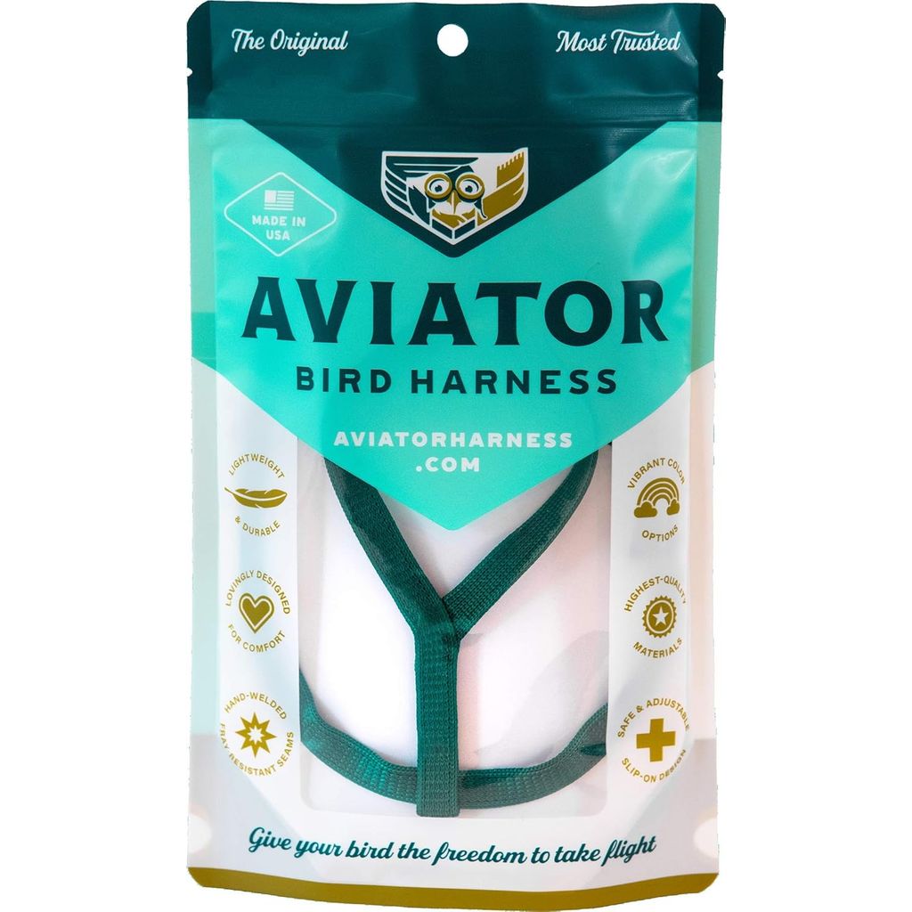 The Aviator bird harness and leash in green