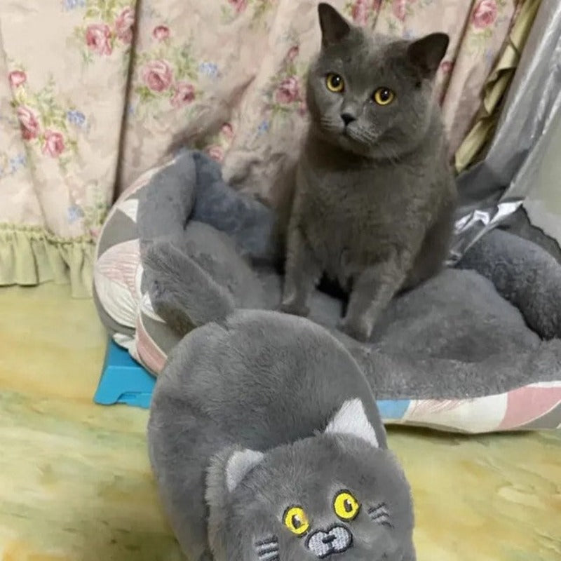 matching cat slippers. farry fashion